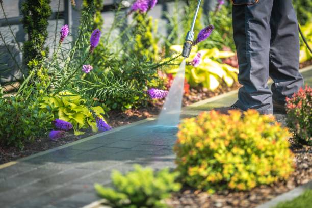 Best Patio and Deck Pressure Washing  in Albion, NY