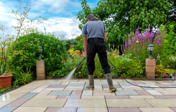 Best Animal Enclosure Cleaning  in Albion, NY