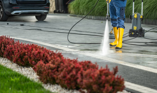 Best Patio and Deck Pressure Washing  in Albion, NY